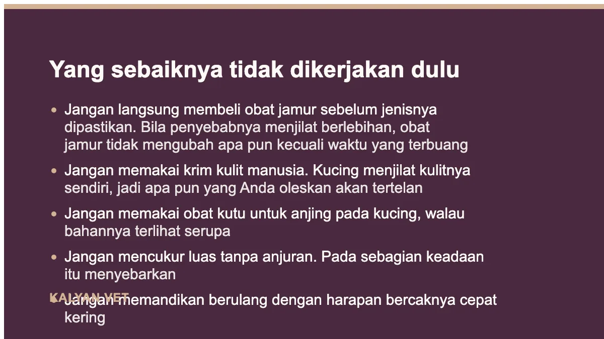 Yang sebaiknya tidak dikerjakan dulu pada Kucing botak melingkar: bukan bentuknya yang menentukan, melainkan kulitnya