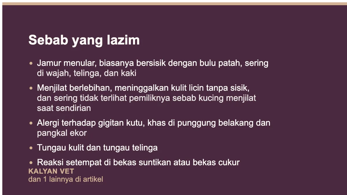 Sebab yang lazim pada Kucing botak melingkar: bukan bentuknya yang menentukan, melainkan kulitnya