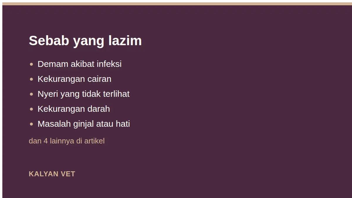 Sebab yang lazim pada Kucing lemas dan tidur terus, kapan perlu diperiksa