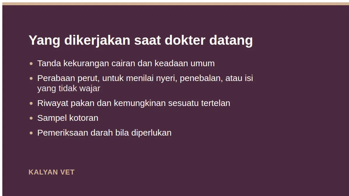 Yang dikerjakan saat dokter datang pada Kucing mencret dan muntah bersamaan