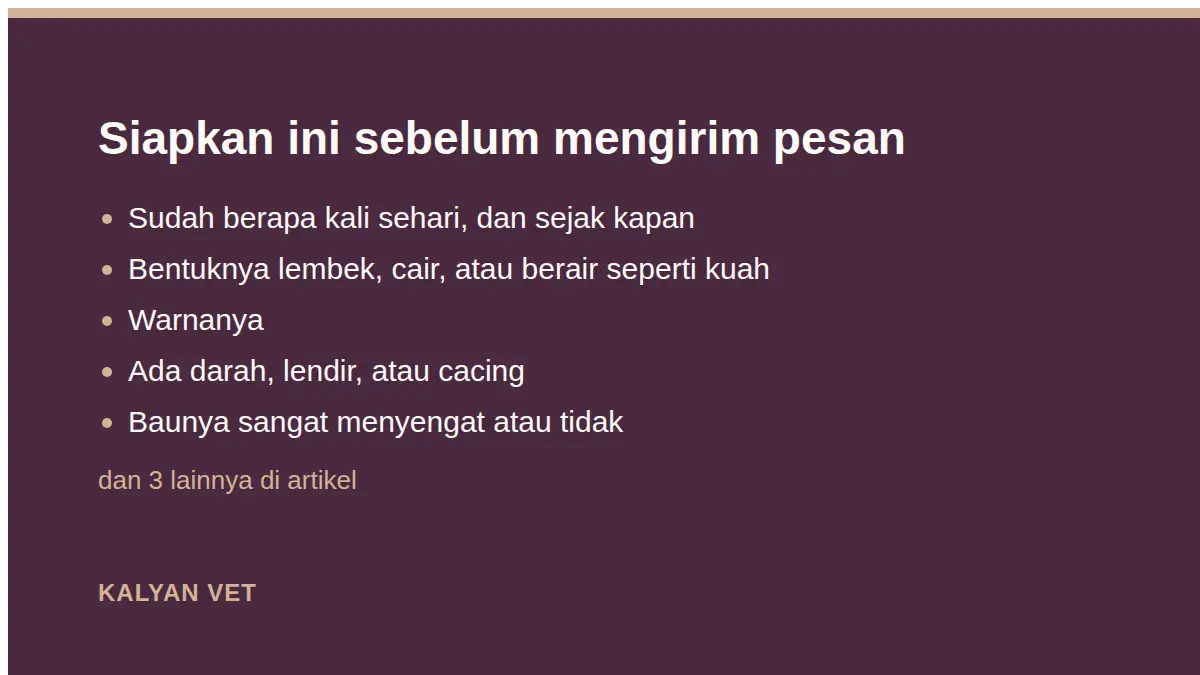 Siapkan ini sebelum mengirim pesan pada Kucing mencret: warna, isi, dan mana yang tidak bisa ditunggu