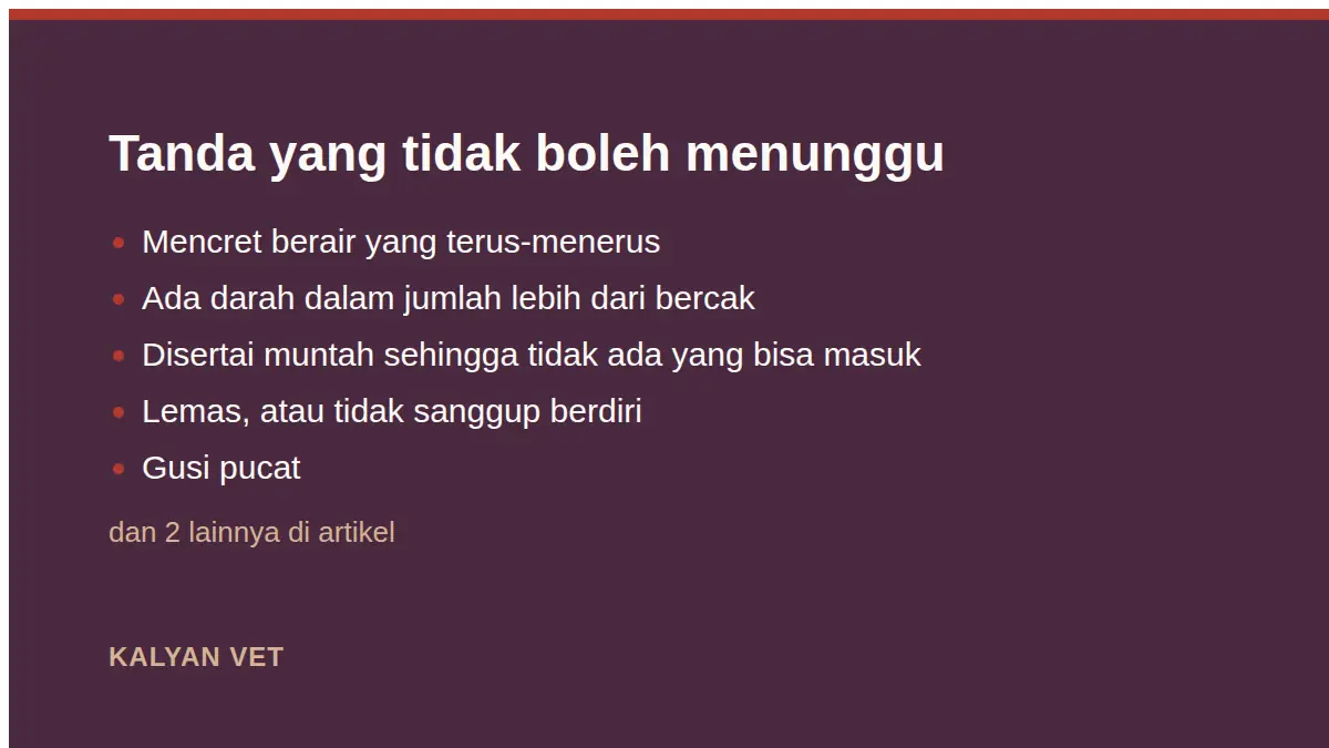 Tanda yang tidak boleh menunggu pada Kucing mencret: warna, isi, dan mana yang tidak bisa ditunggu