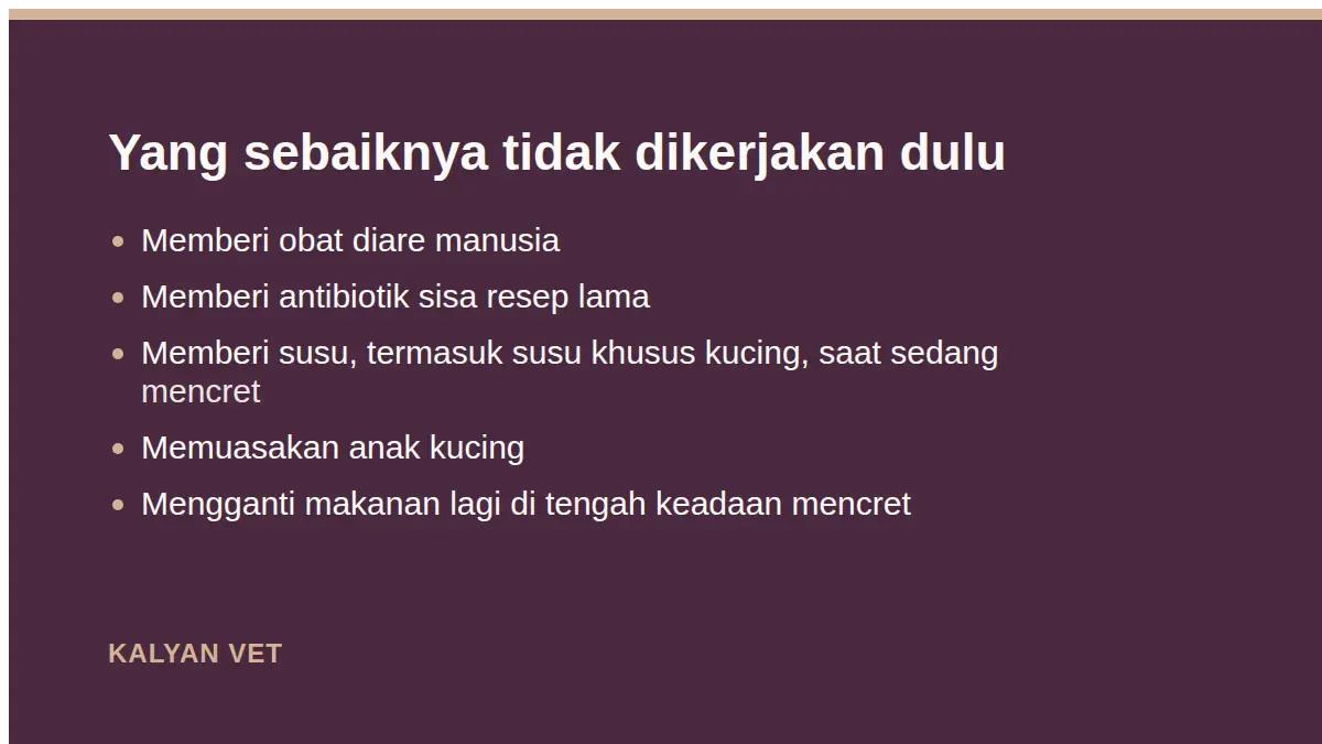 Yang sebaiknya tidak dikerjakan dulu pada Kucing mencret: warna, isi, dan mana yang tidak bisa ditunggu