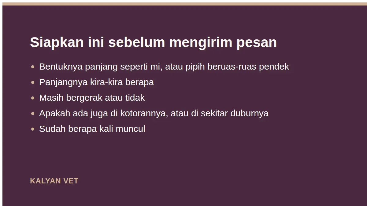 Siapkan ini sebelum mengirim pesan pada Kucing muntah cacing, dan apa yang harus segera dikerjakan