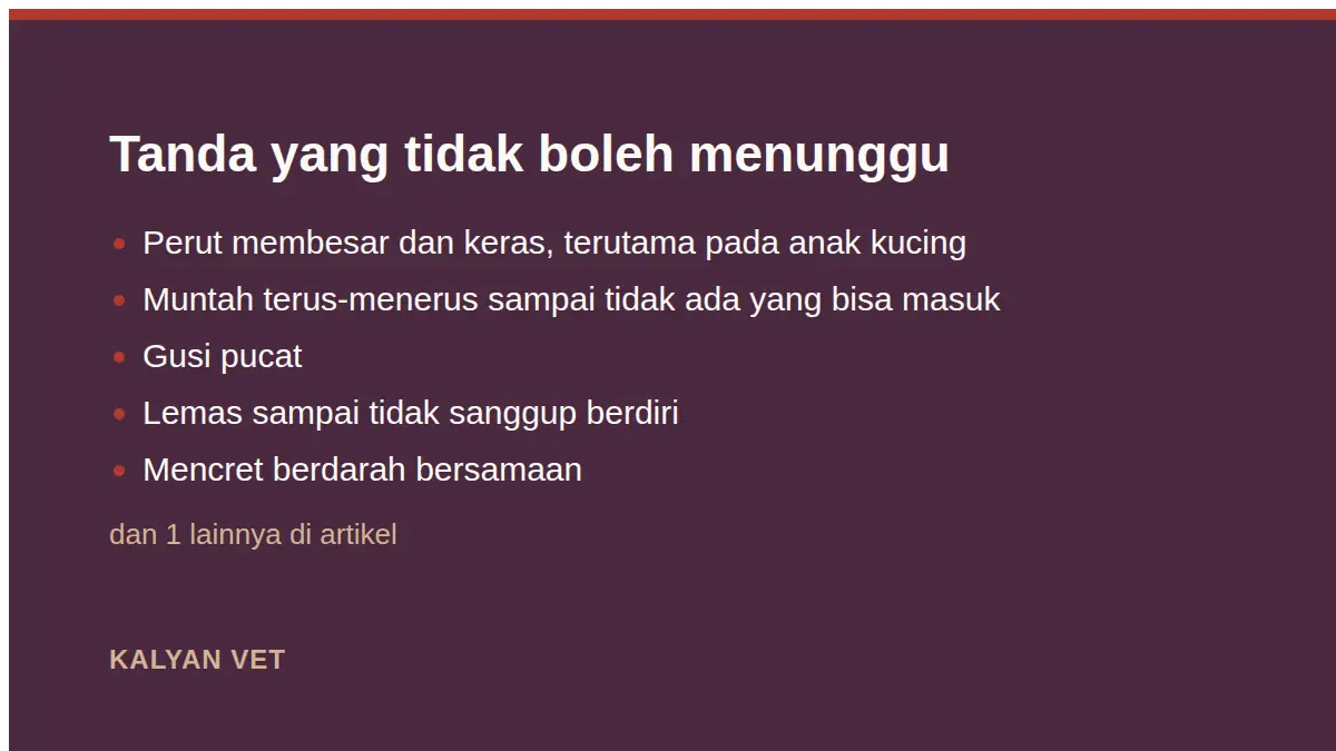 Tanda yang tidak boleh menunggu pada Kucing muntah cacing, dan apa yang harus segera dikerjakan