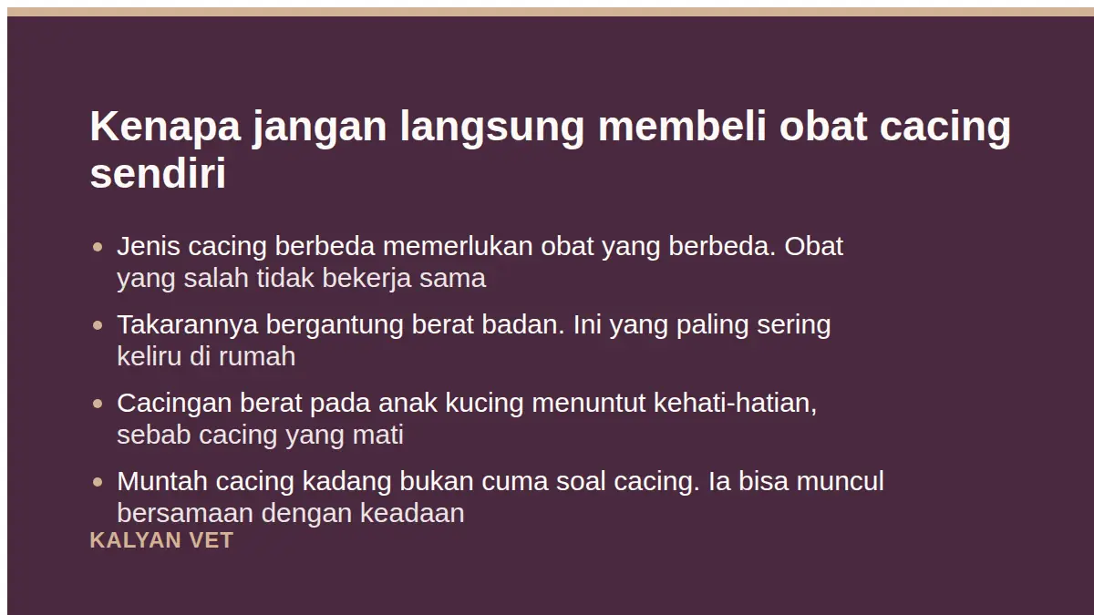 Kenapa jangan langsung membeli obat cacing sendiri pada Kucing muntah cacing, dan apa yang harus segera dikerjakan