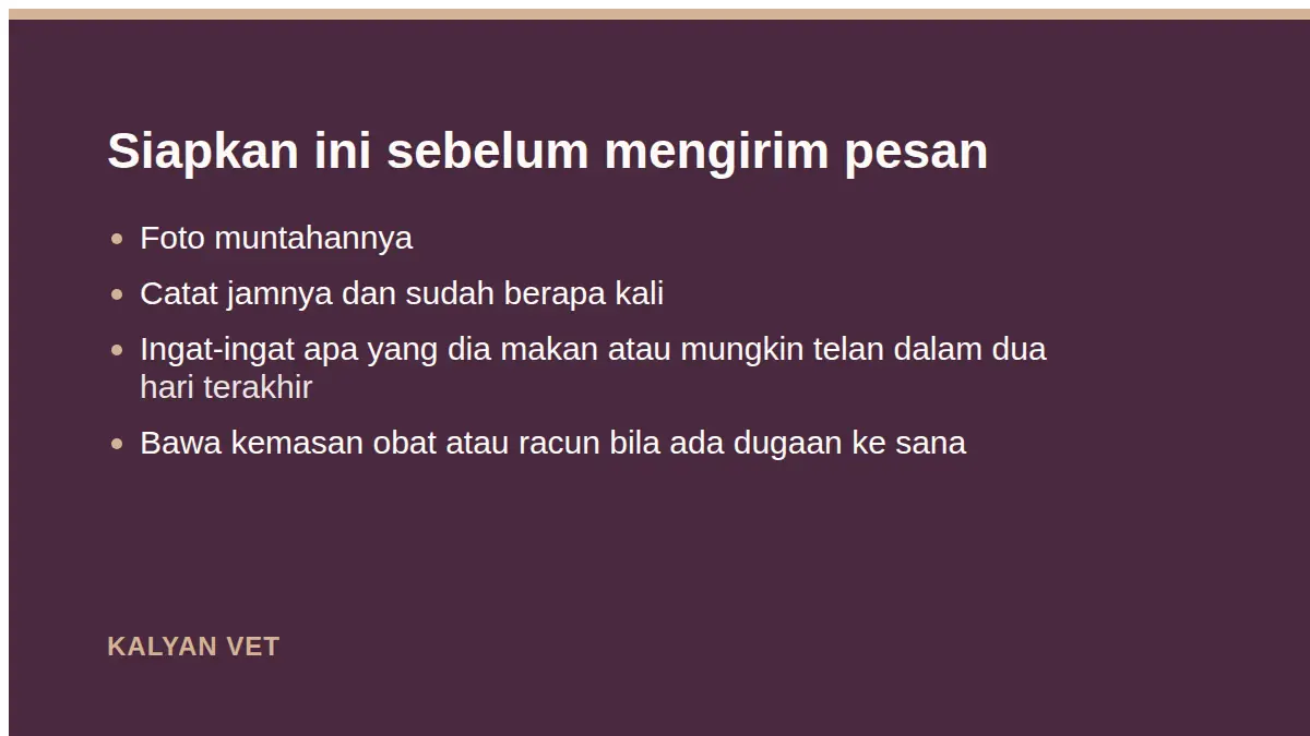 Siapkan ini sebelum mengirim pesan pada Kucing muntah darah, kapan ini gawat