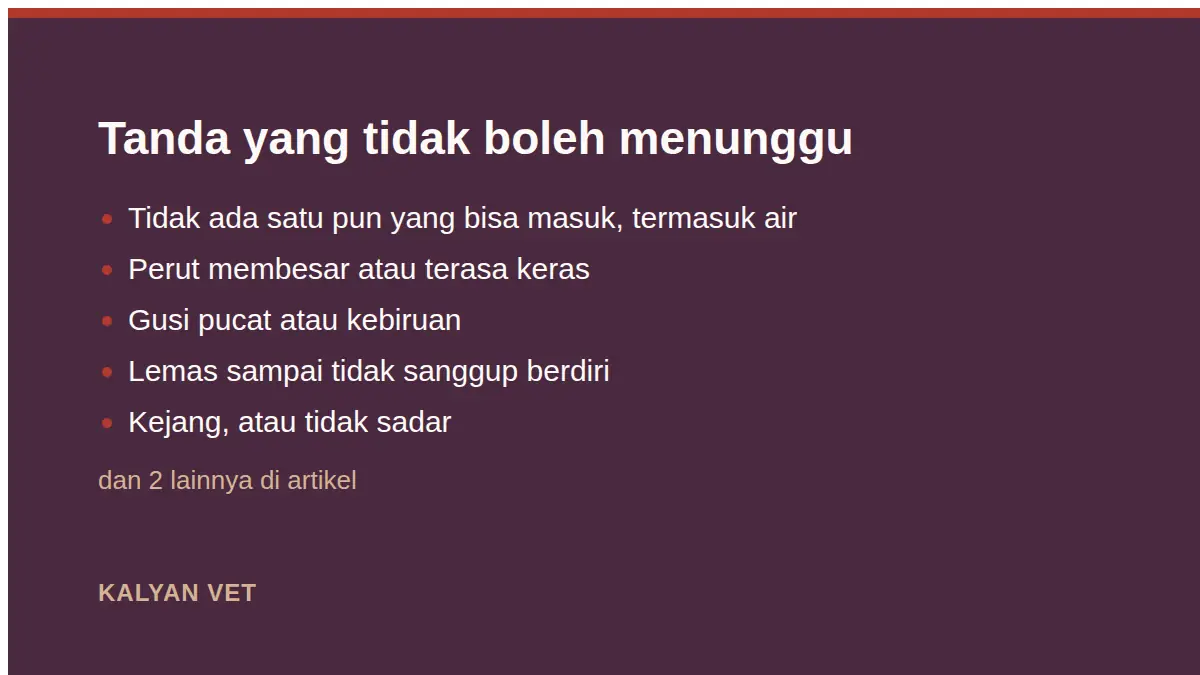 Tanda yang tidak boleh menunggu pada Kucing muntah kuning, putih berbusa, atau bening: apa bedanya