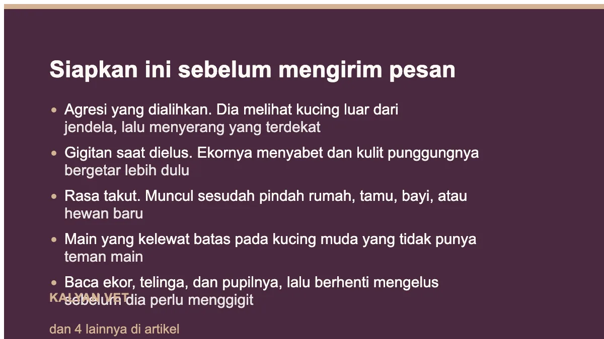 Siapkan ini sebelum mengirim pesan pada Kucing tiba-tiba agresif, dan kapan itu sebenarnya rasa sakit