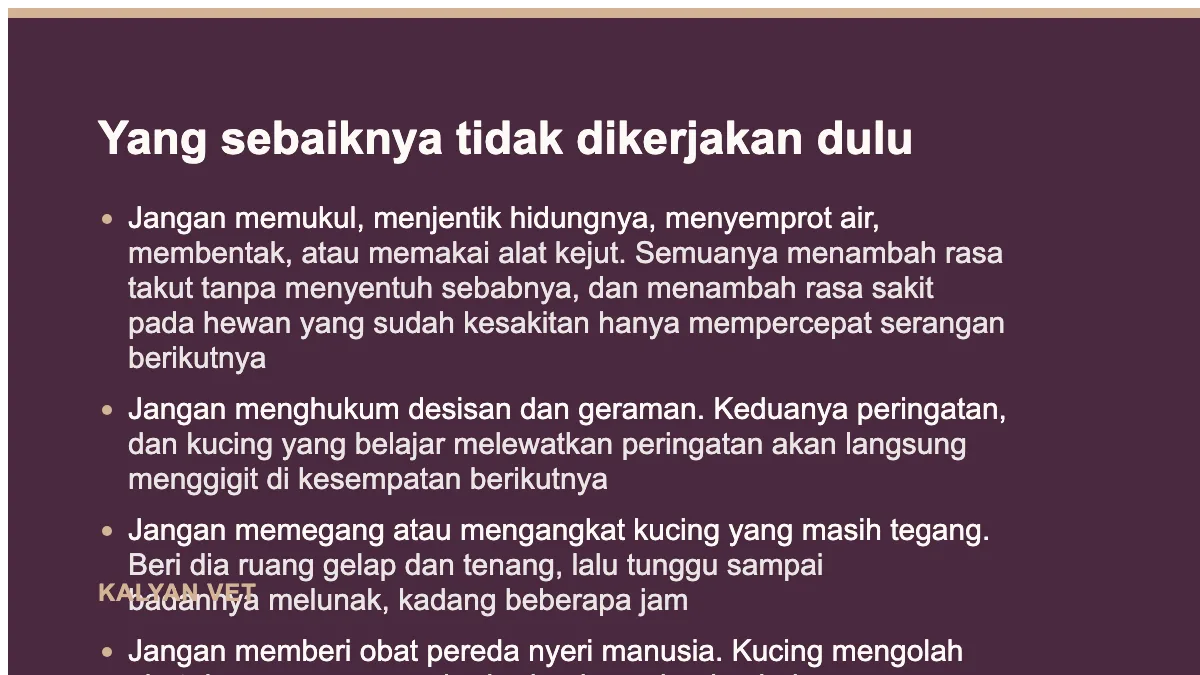 Yang sebaiknya tidak dikerjakan dulu pada Kucing tiba-tiba agresif, dan kapan itu sebenarnya rasa sakit