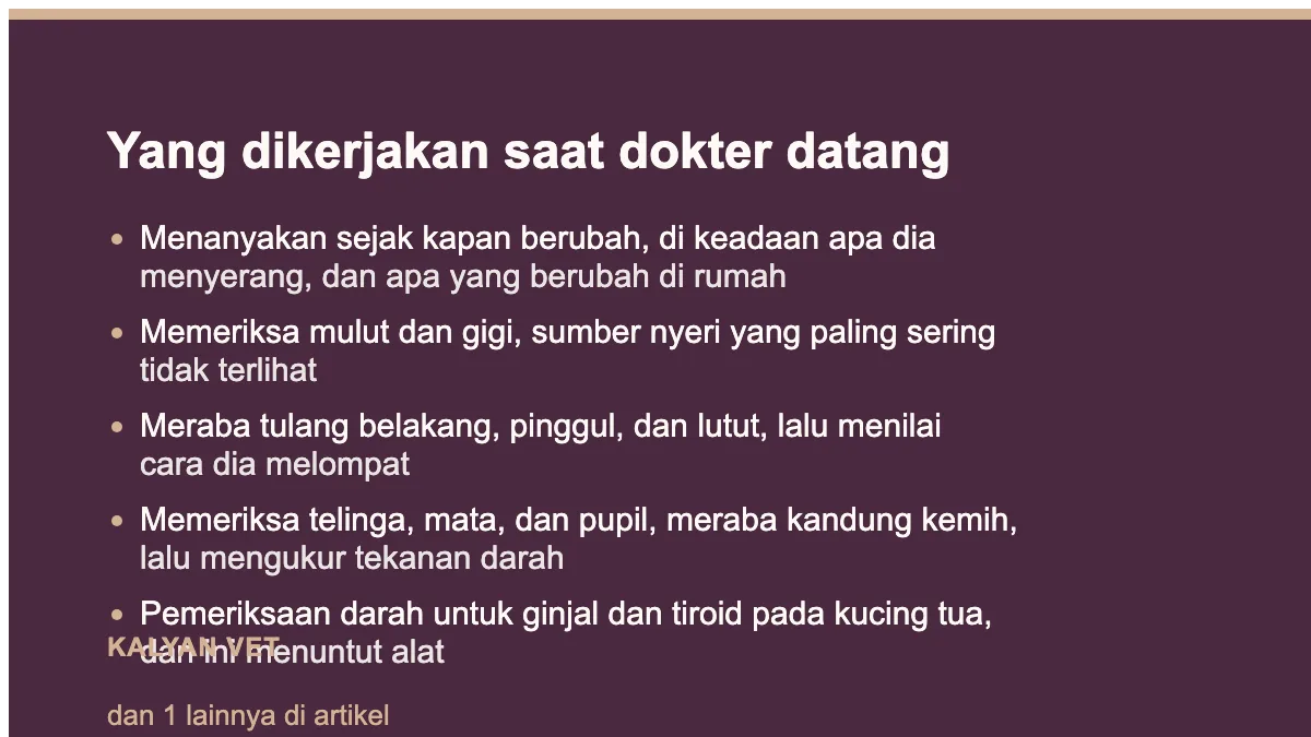 Yang dikerjakan saat dokter datang pada Kucing tiba-tiba agresif, dan kapan itu sebenarnya rasa sakit