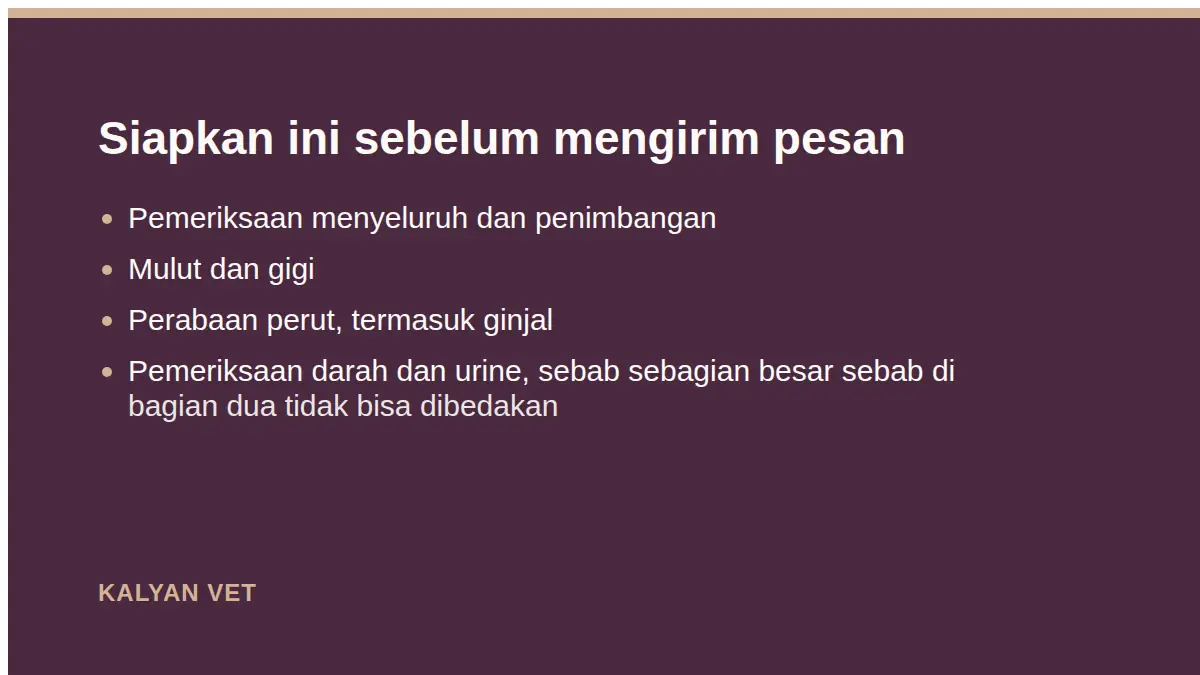 Siapkan ini sebelum mengirim pesan pada Kucing tua semakin kurus, dan apa yang perlu diperiksa
