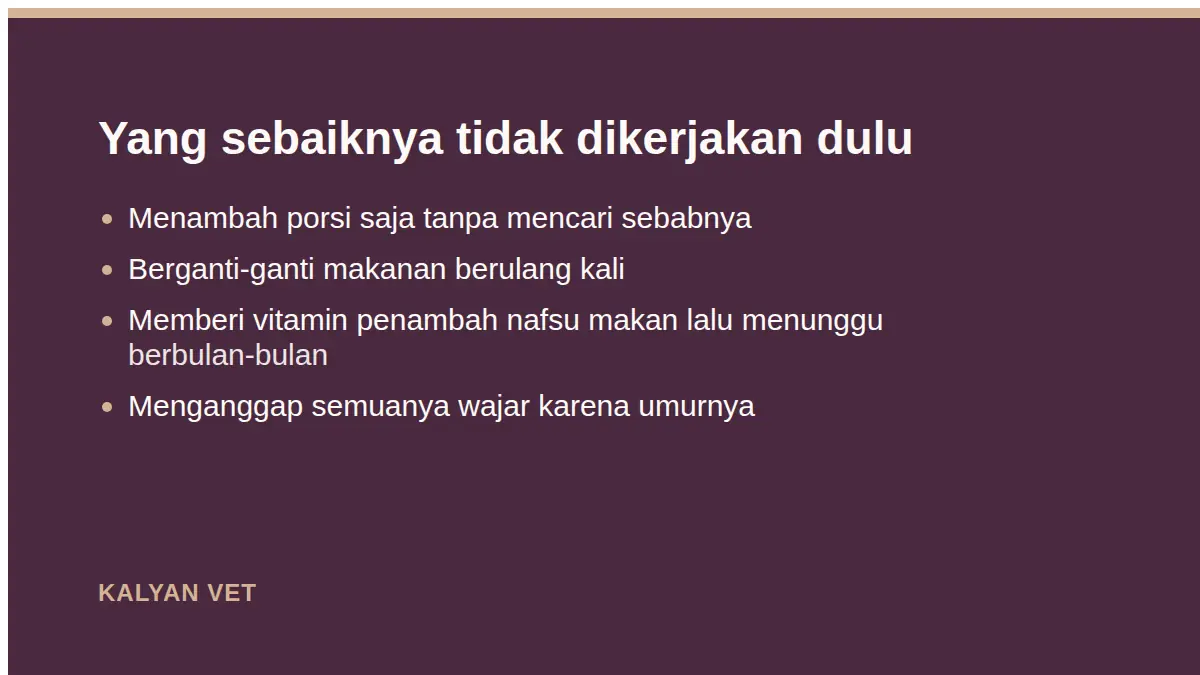 Yang sebaiknya tidak dikerjakan dulu pada Kucing tua semakin kurus, dan apa yang perlu diperiksa
