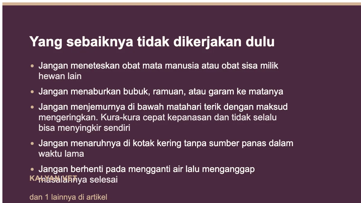 Yang sebaiknya tidak dikerjakan dulu pada Kura-kura mata bengkak dan tertutup, dan kenapa jawabannya jarang di matanya