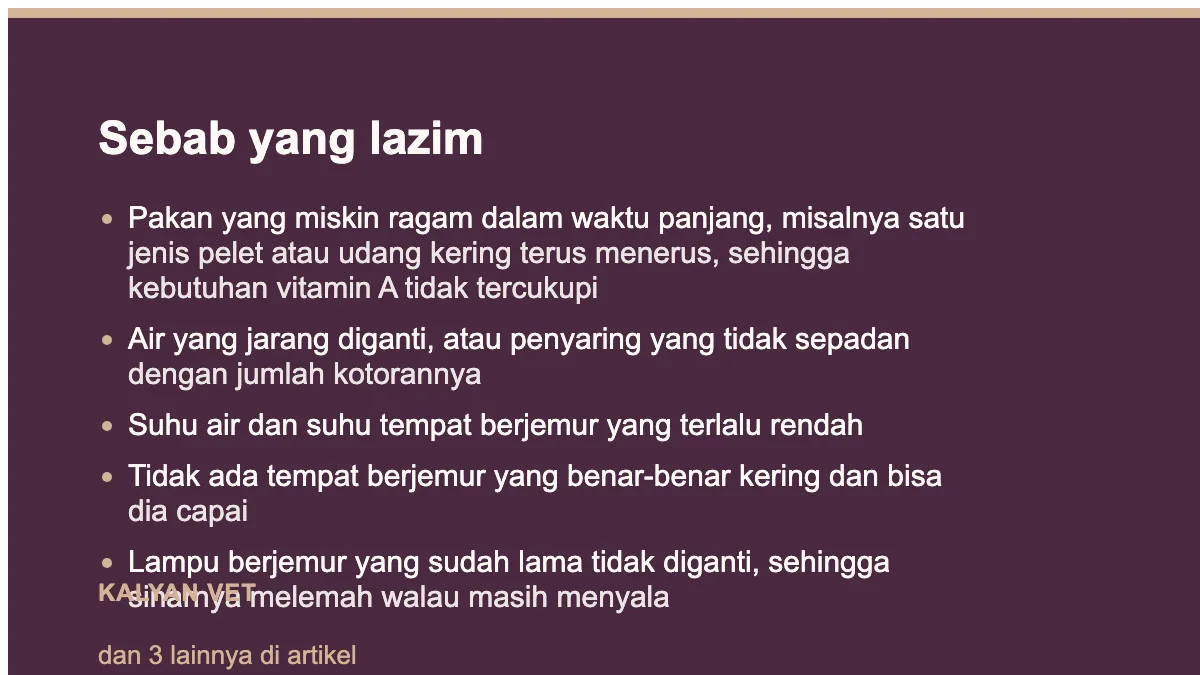 Sebab yang lazim pada Kura-kura mata bengkak dan tertutup, dan kenapa jawabannya jarang di matanya