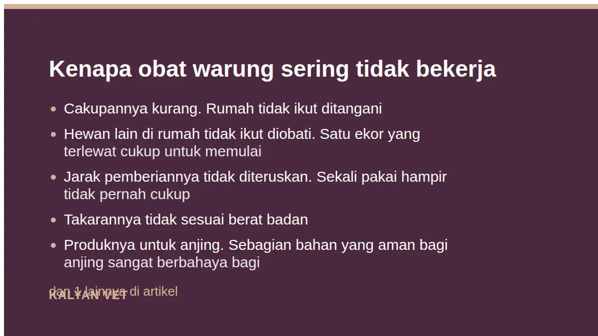 Kenapa obat warung sering tidak bekerja pada Kutu kucing: kenapa obat warung sering gagal, dan apa yang membedakan