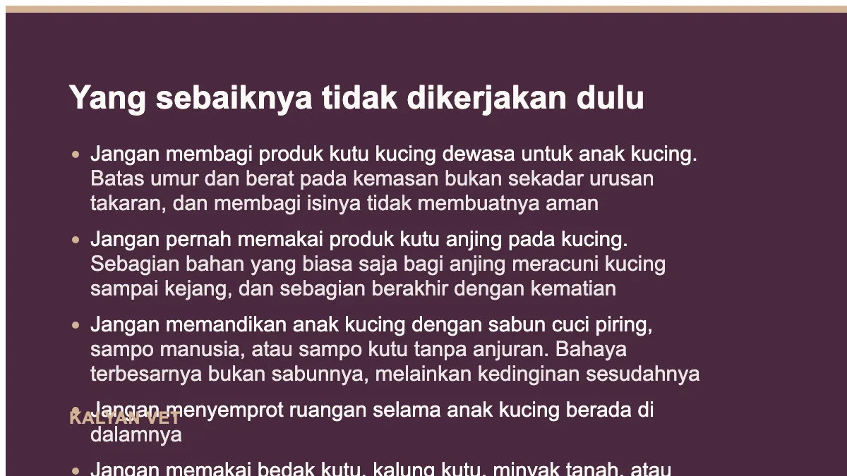 Yang sebaiknya tidak dikerjakan dulu pada Kutu pada anak kucing, dan kenapa obat kutu dewasa berbahaya