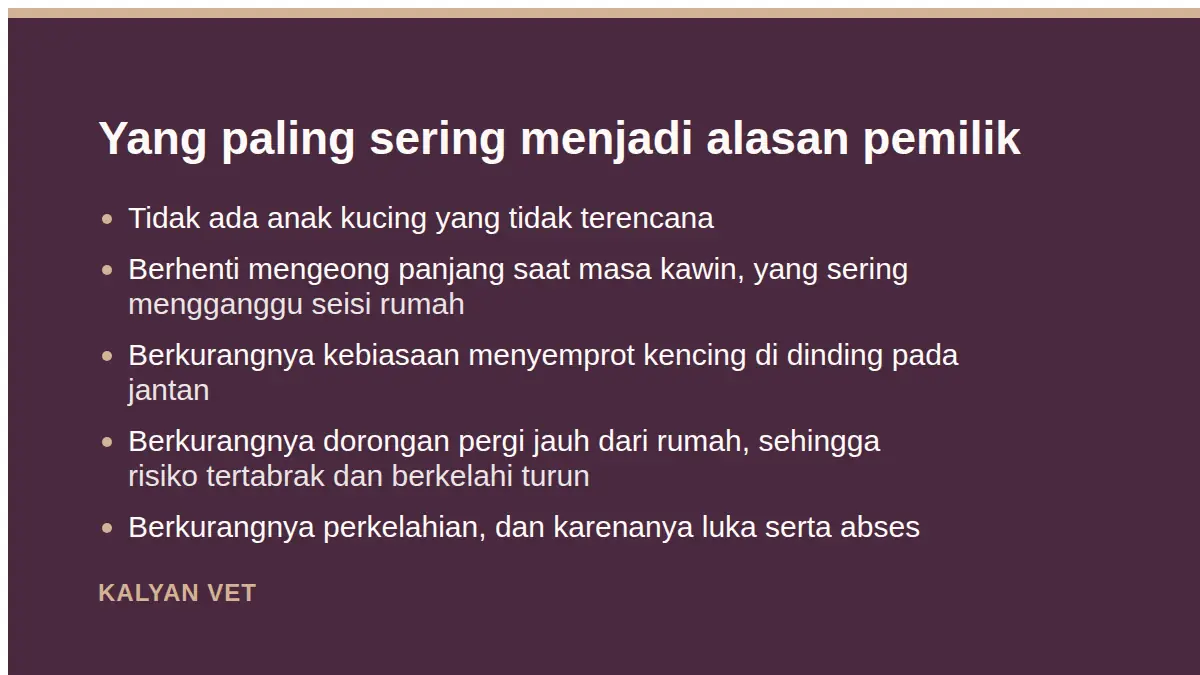 Yang paling sering menjadi alasan pemilik pada Manfaat steril pada kucing, dan apa yang berubah sesudahnya