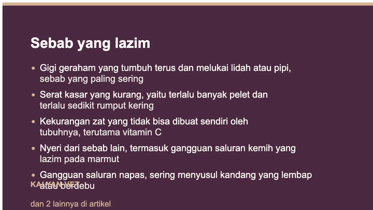 Sebab yang lazim pada Marmut tidak mau makan, dan kenapa ini lebih mendesak daripada pada kucing