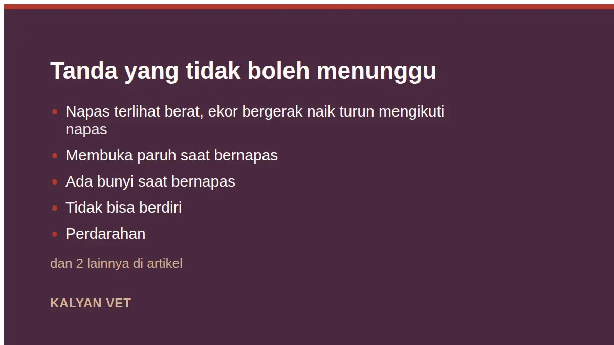 Tanda yang tidak boleh menunggu pada Burung tidak bunyi, lemas, atau ngantuk: membaca tanda sakit pada burung