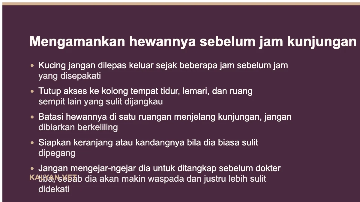 Mengamankan hewannya sebelum jam kunjungan pada Menyiapkan rumah sebelum dokter datang