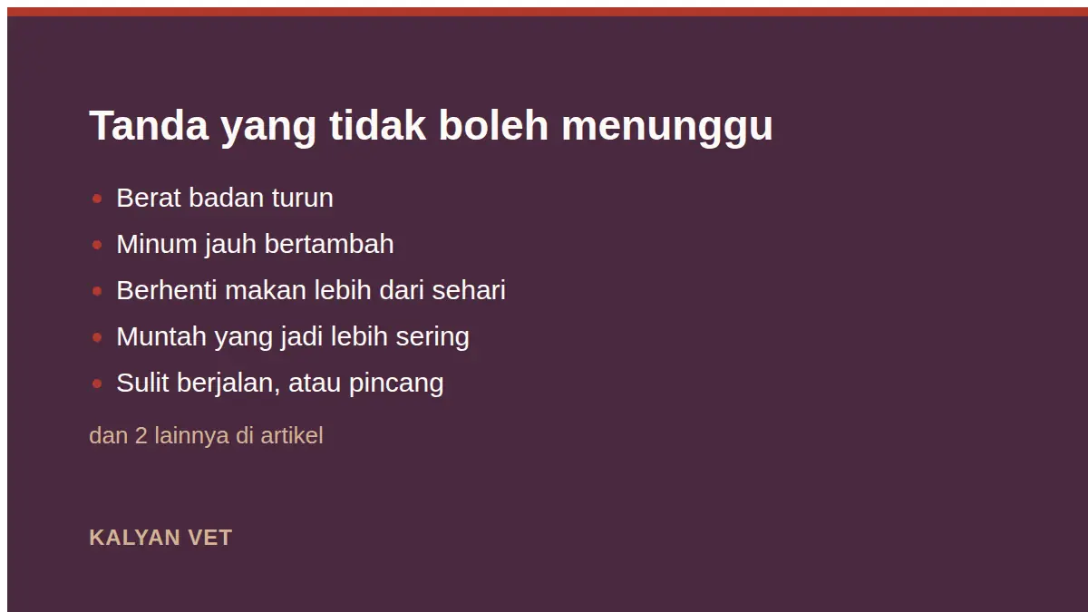 Tanda yang tidak boleh menunggu pada Merawat kucing berumur di atas sepuluh tahun di rumah