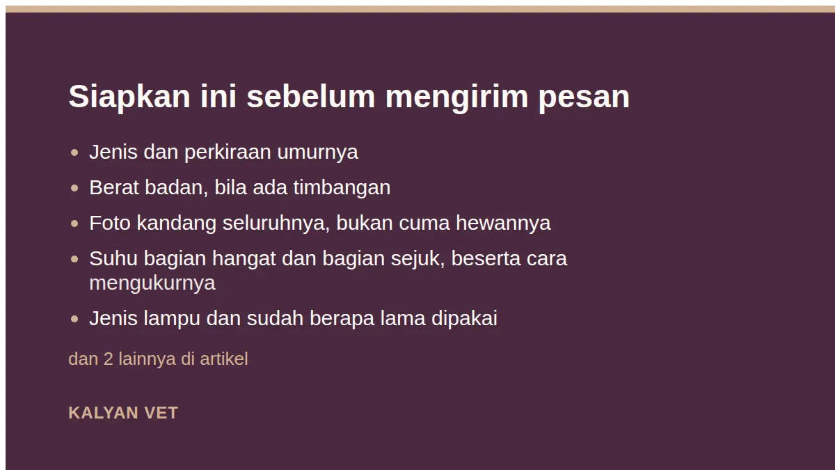 Siapkan ini sebelum mengirim pesan pada Reptil dan kura-kura tidak mau makan, apa yang perlu diperiksa dulu