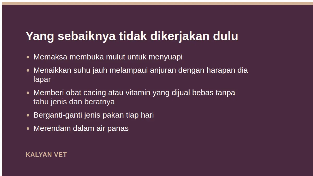 Yang sebaiknya tidak dikerjakan dulu pada Reptil dan kura-kura tidak mau makan, apa yang perlu diperiksa dulu