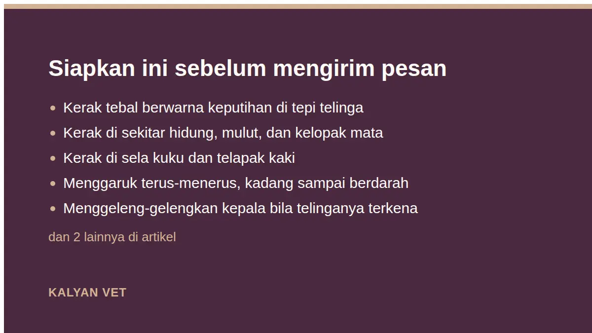 Siapkan ini sebelum mengirim pesan pada Scabies pada kelinci, mengenalinya sebelum menyebar
