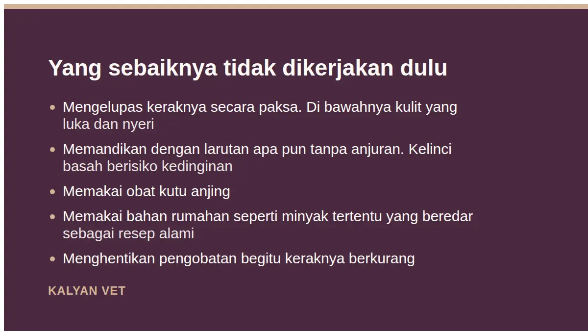 Yang sebaiknya tidak dikerjakan dulu pada Scabies pada kelinci, mengenalinya sebelum menyebar