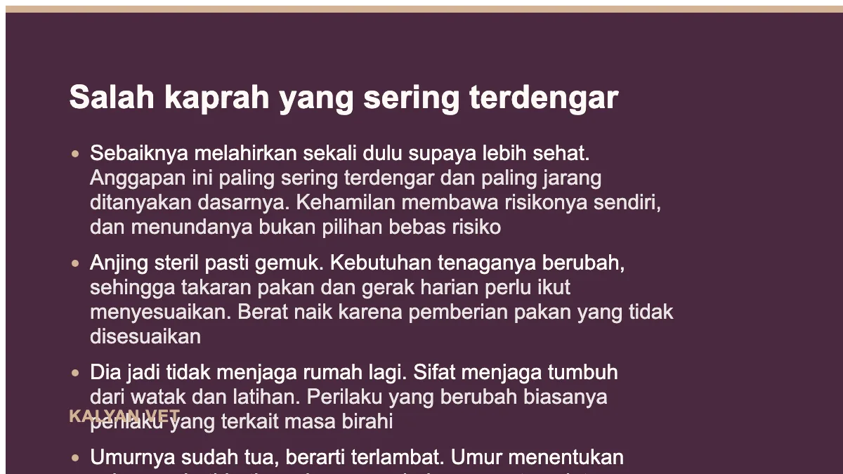 Salah kaprah yang sering terdengar pada Steril anjing betina, waktunya dan apa yang terjadi