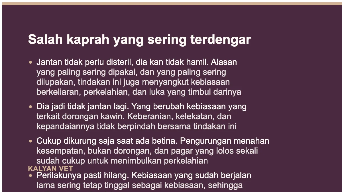 Salah kaprah yang sering terdengar pada Steril anjing jantan, waktunya dan yang berubah sesudahnya
