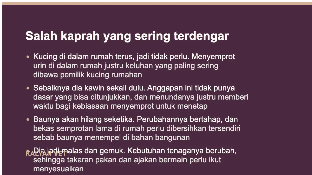 Salah kaprah yang sering terdengar pada Steril kucing jantan, waktunya dan yang berubah sesudahnya