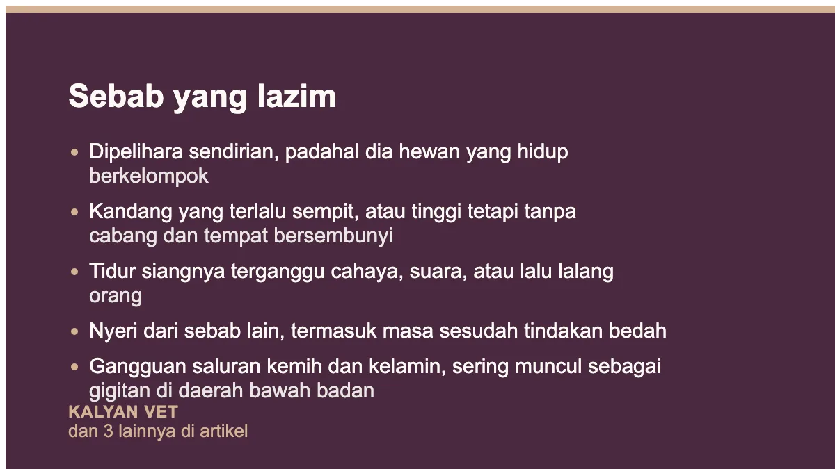 Sebab yang lazim pada Sugar glider stres dan menggigiti diri, apa yang sebenarnya terjadi