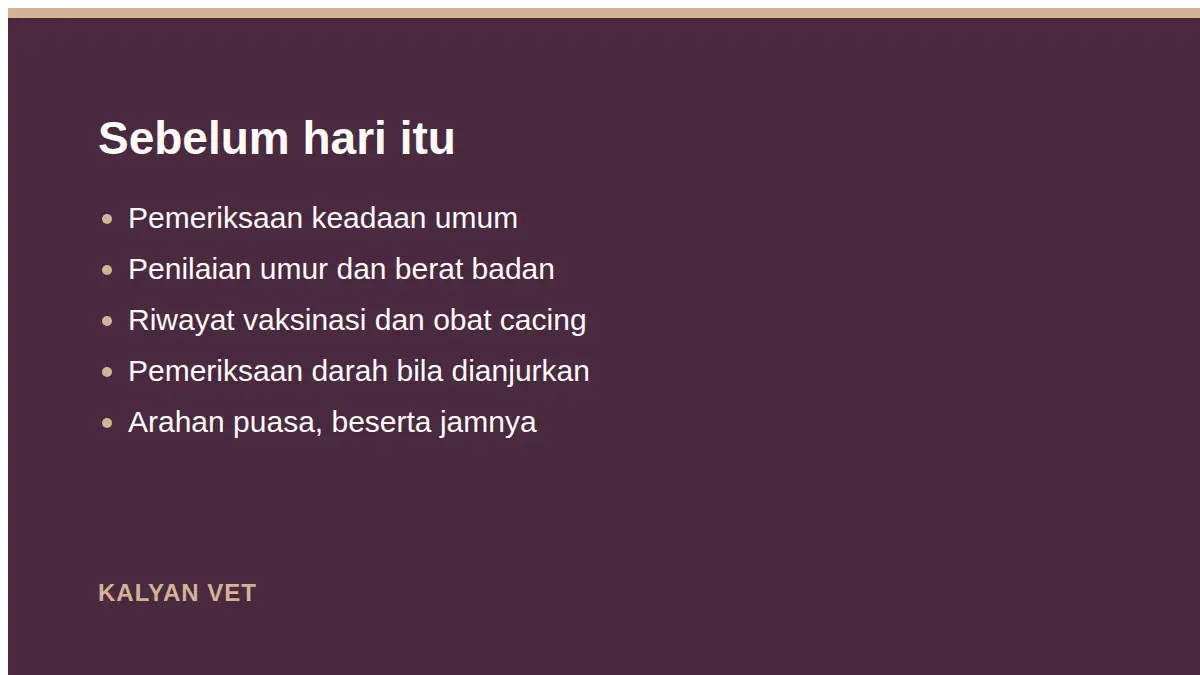 Sebelum hari itu pada Urutan steril kucing dari persiapan sampai jahitan kering