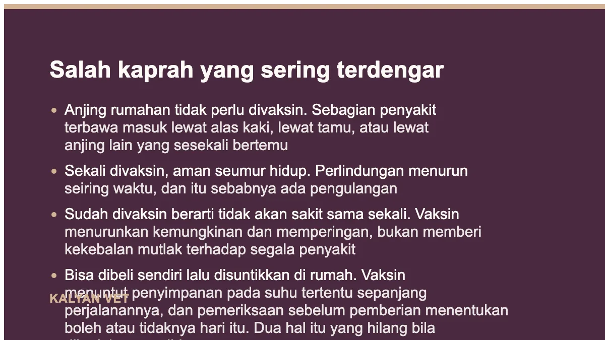 Salah kaprah yang sering terdengar pada Vaksin anjing: apa saja, berapa kali, dan jadwalnya