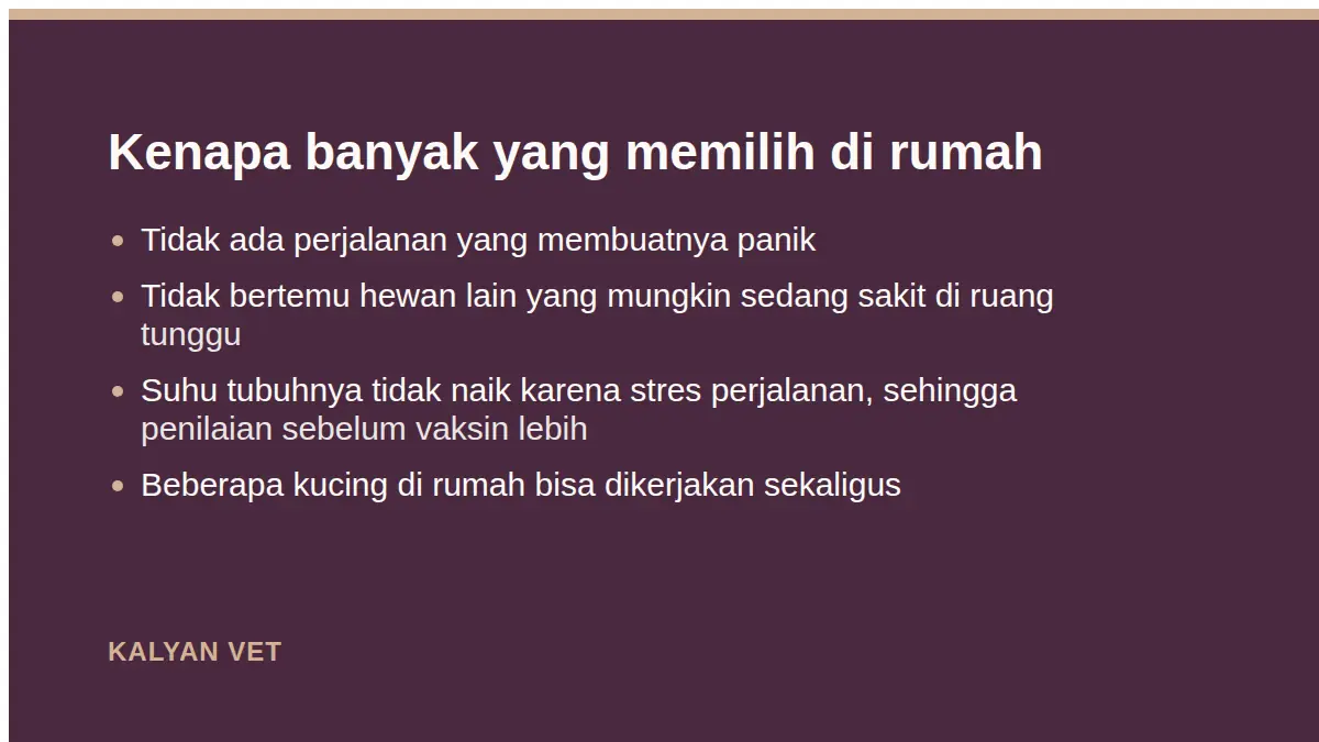 Kenapa banyak yang memilih di rumah pada Vaksin kucing: apa saja, berapa kali, dan jadwalnya