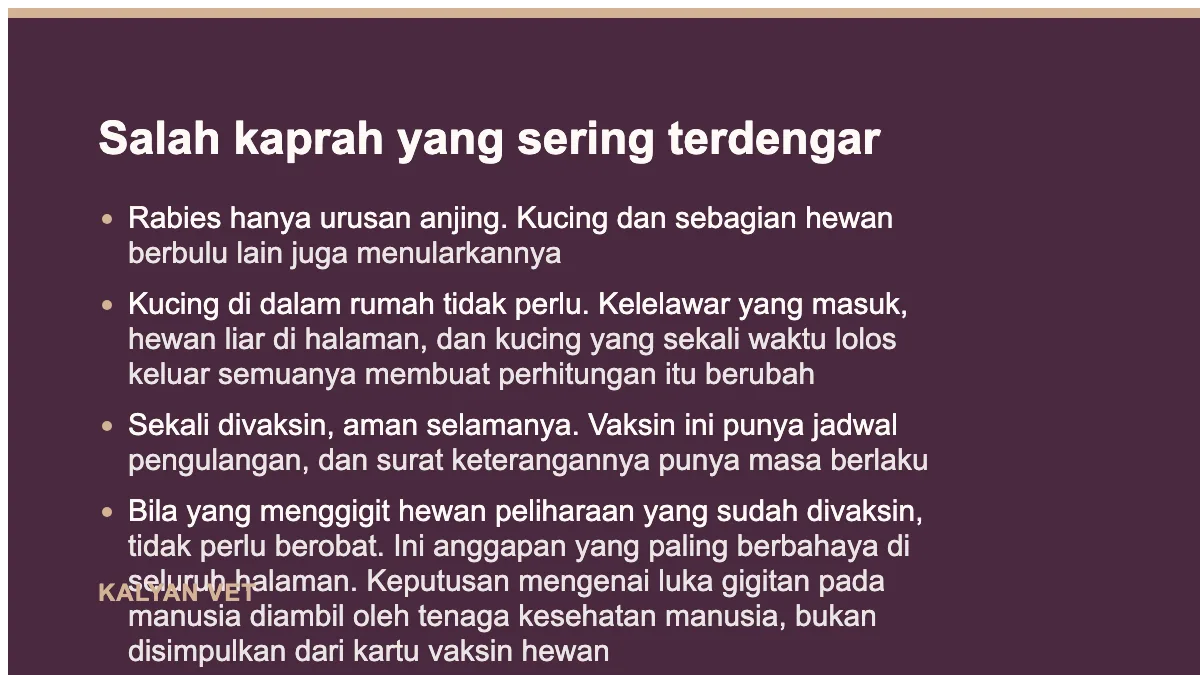 Salah kaprah yang sering terdengar pada Vaksin rabies, jadwal dan yang perlu diketahui